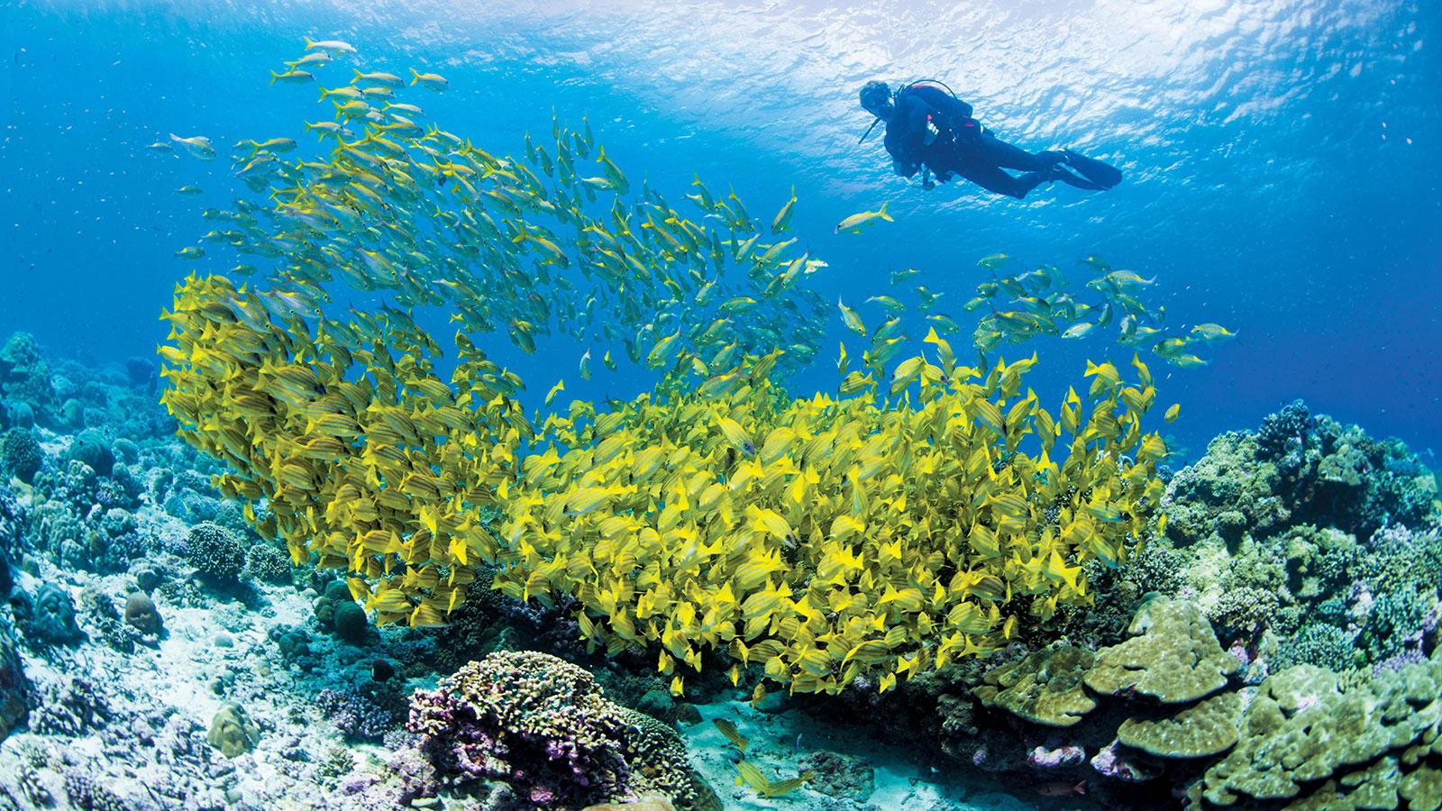 the-promised-land-idyllic-cruising-in-the-seychelles-lee-marine